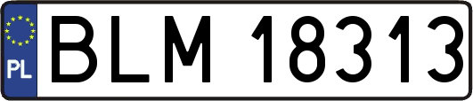 BLM18313