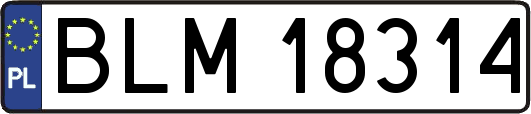 BLM18314