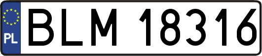 BLM18316