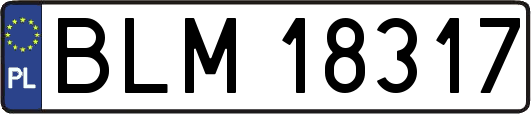 BLM18317