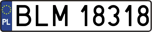 BLM18318