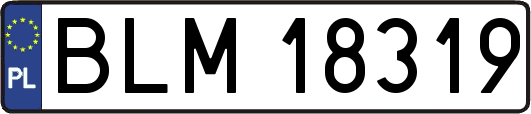 BLM18319