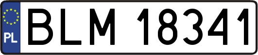 BLM18341