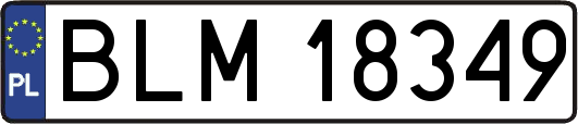 BLM18349