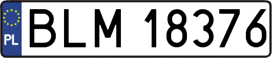 BLM18376