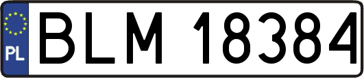 BLM18384