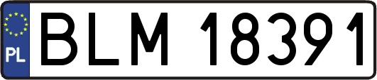 BLM18391