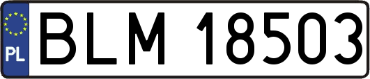 BLM18503