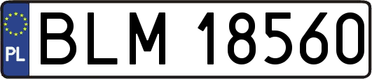 BLM18560
