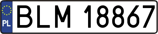 BLM18867