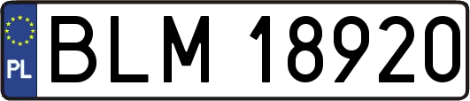 BLM18920