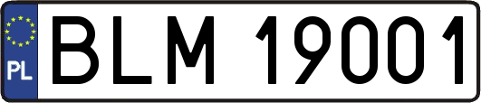 BLM19001