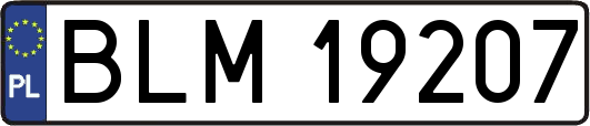BLM19207