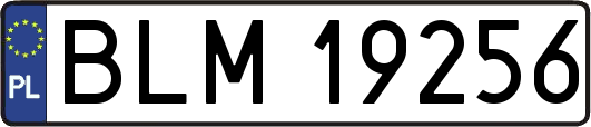 BLM19256