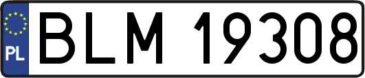 BLM19308