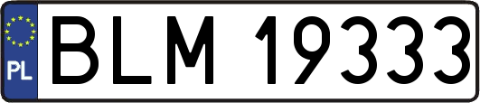 BLM19333