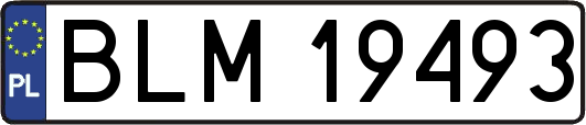 BLM19493