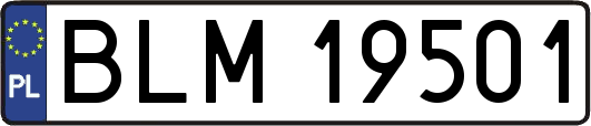 BLM19501