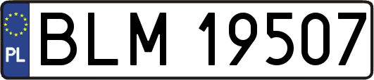 BLM19507