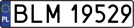 BLM19529