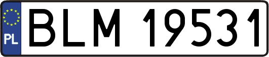 BLM19531