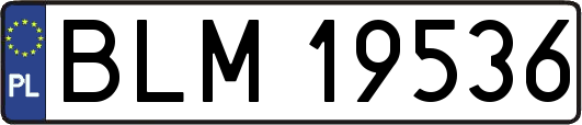 BLM19536