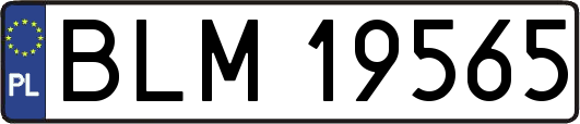 BLM19565