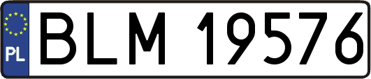 BLM19576