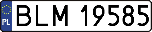 BLM19585
