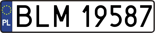 BLM19587