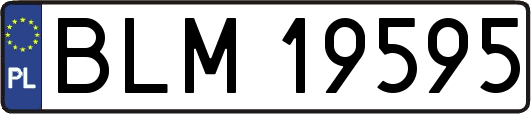 BLM19595