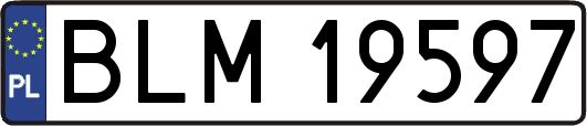 BLM19597