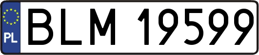 BLM19599