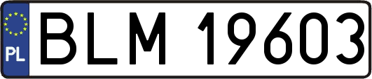 BLM19603