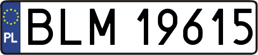 BLM19615