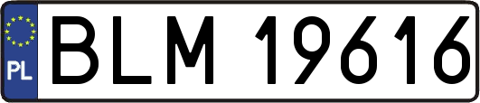 BLM19616