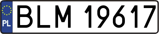 BLM19617