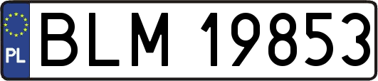 BLM19853