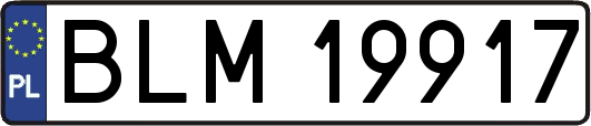 BLM19917