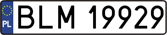 BLM19929
