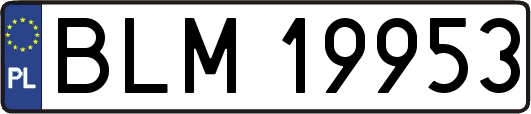 BLM19953