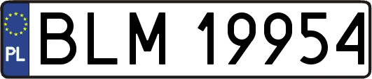 BLM19954