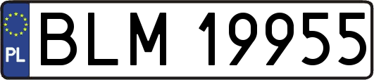 BLM19955