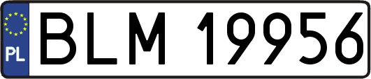 BLM19956
