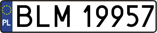 BLM19957