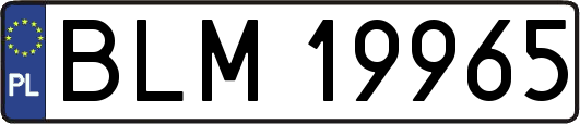 BLM19965