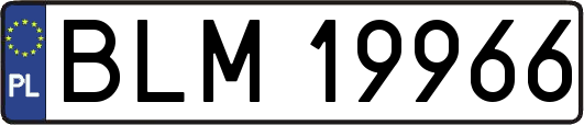BLM19966