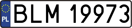 BLM19973