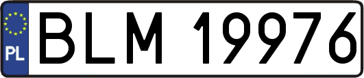BLM19976