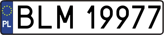 BLM19977
